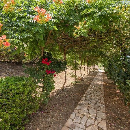 Agallis Corfu Residence Sokrákion Eksteriør billede
