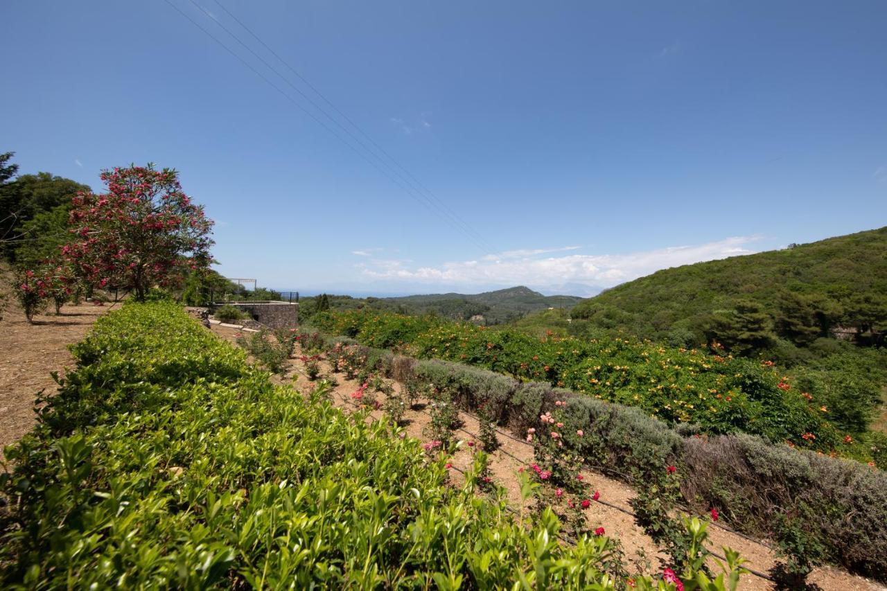 Agallis Corfu Residence Sokrákion Eksteriør billede